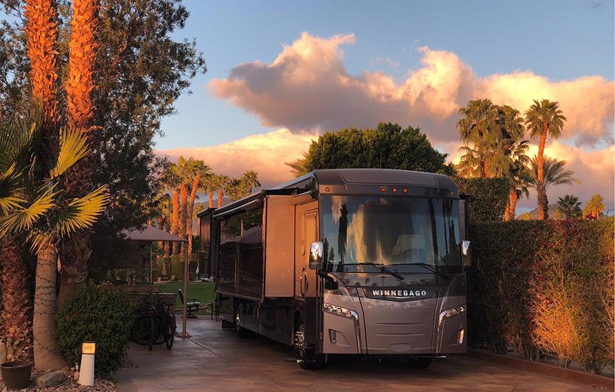 Horizon with colorful sunset and palm trees in background